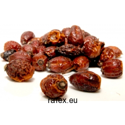 Dzika Róża Owoc 100 G